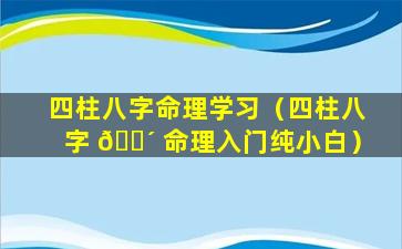 四柱八字命理学习（四柱八字 🌴 命理入门纯小白）